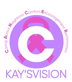 kaysvision